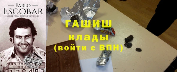 стаф Ельня