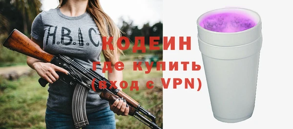 стаф Ельня
