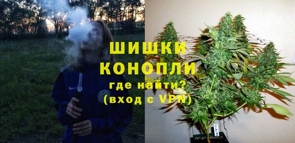 стаф Ельня