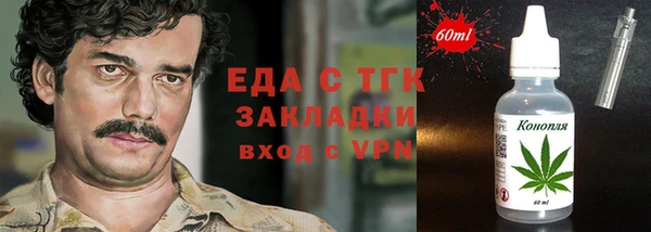 стаф Ельня