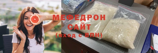 стаф Ельня