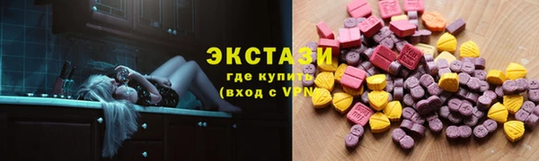 стаф Ельня