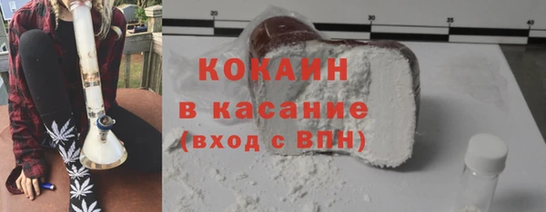 стаф Ельня