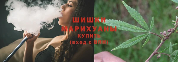 прущие крисы Елабуга