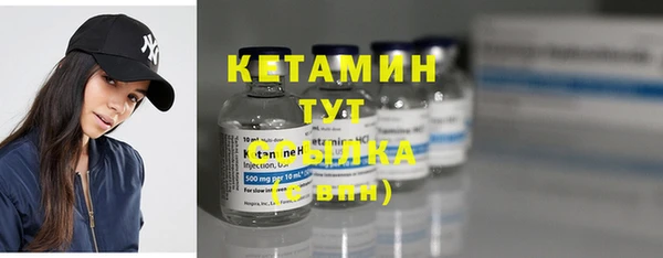 стаф Ельня
