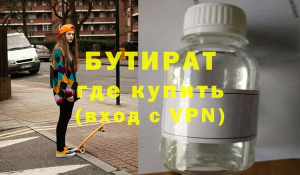 стаф Ельня