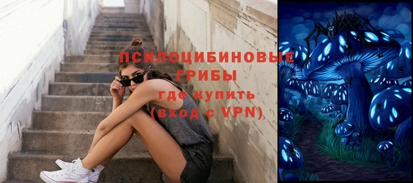 стаф Ельня