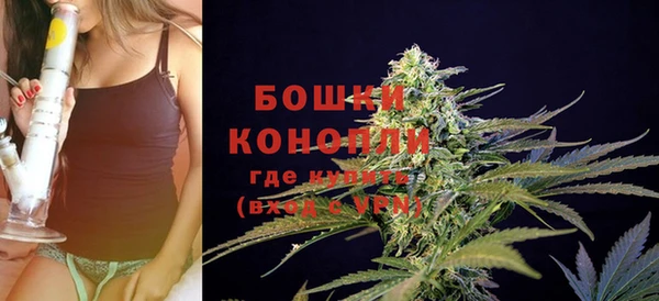 стаф Ельня