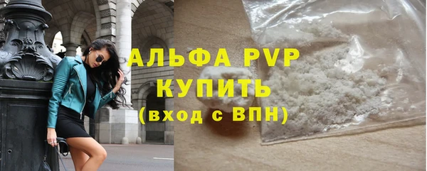 стаф Ельня
