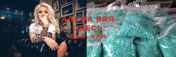 стаф Ельня