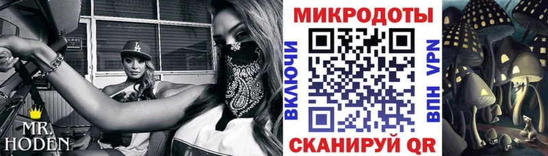 Галлюциногенные грибы GOLDEN TEACHER  Купить где  Озёрск 